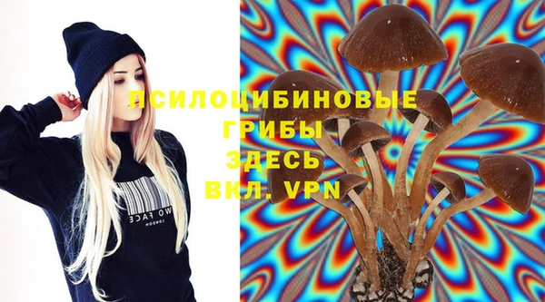метадон Бородино