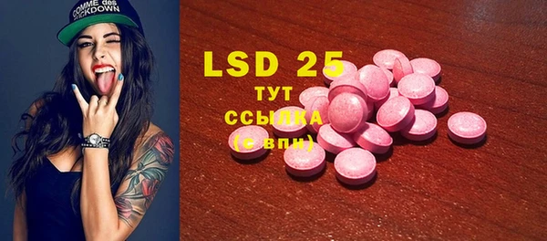 индика Бугульма
