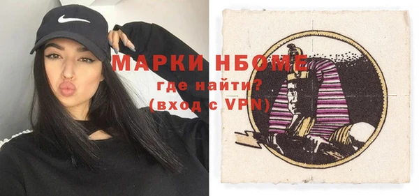 сатива Ельня